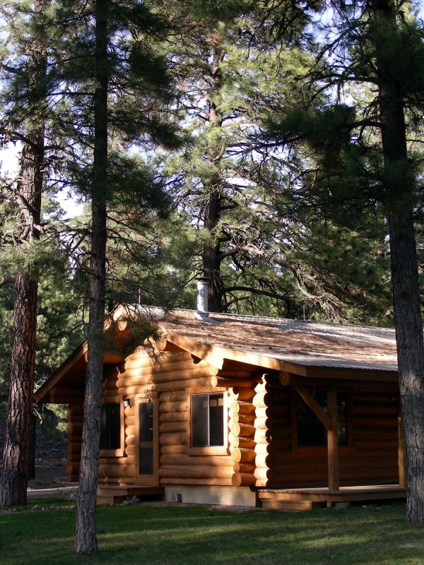 Log Home Weatherproofing