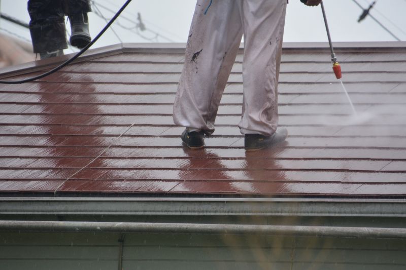 Roof Cleaning Professionals