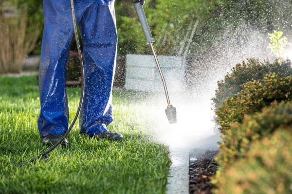 Curb Cleaning in Fayetteville