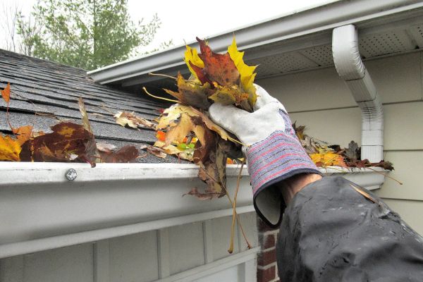 Eaves Cleaning in Fayetteville