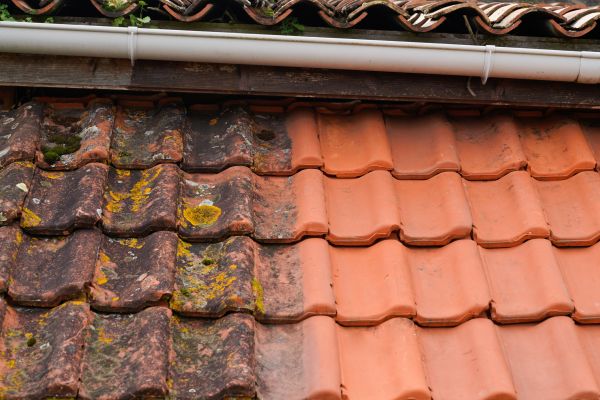 Industrial Roof Cleaning in Fayetteville